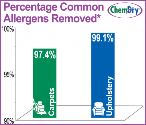 Allergies in the Home